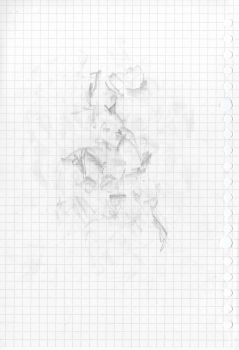 https://www.drawings.lowellstephens.com/files/gimgs/th-28_Muji-B5-Grid-25_43.jpg